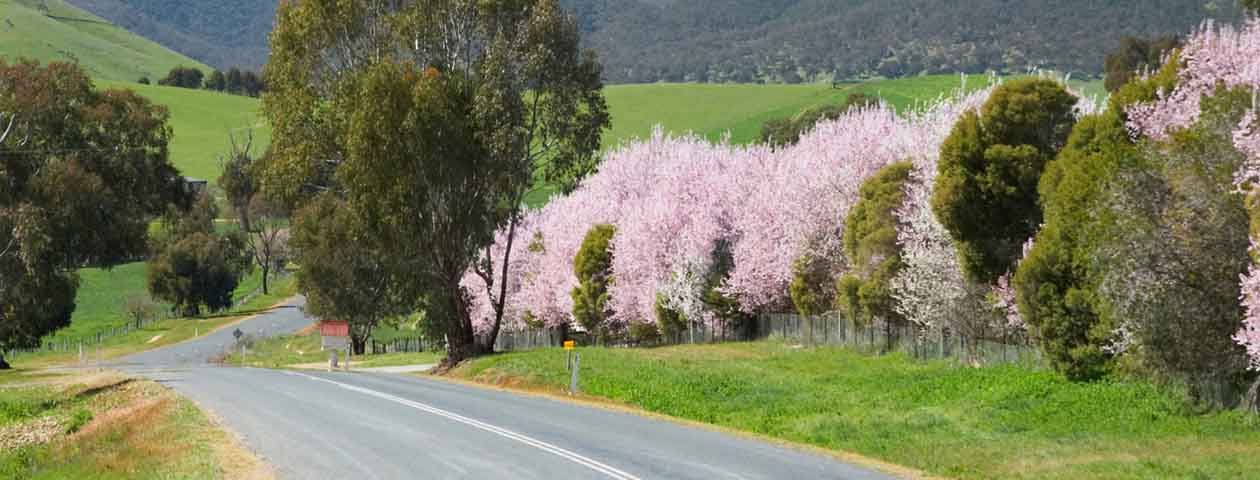 Bombala mobile phone reception is about to improve. Photo: Snowy Mountains Tourism.