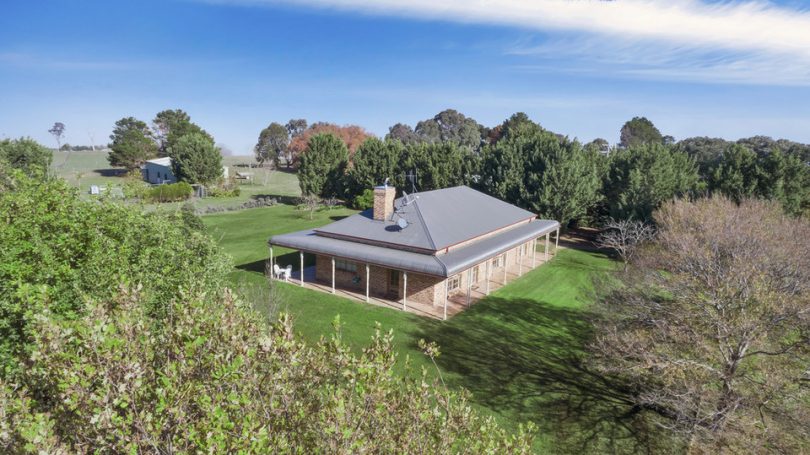 2963 Dog Trap Road, Jeir