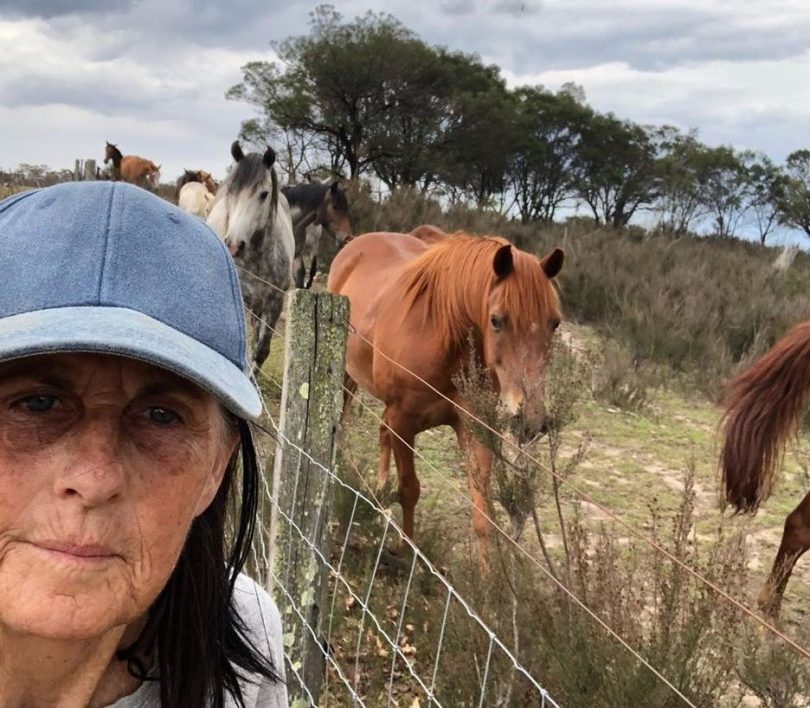 Billie Dean and her horses at the animal sanctuary