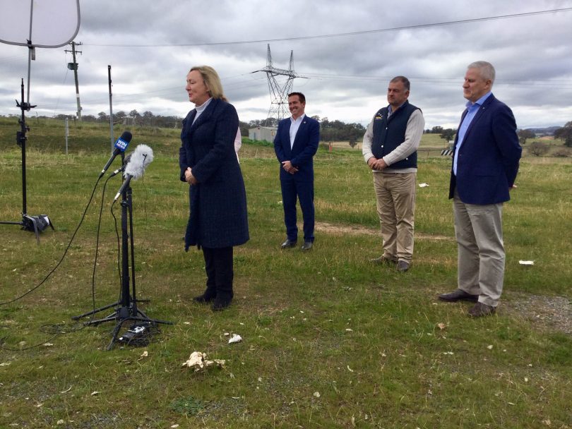 Yass Valley Mayor and Canberra Region Joint Organisation chair Rowena Abbey announcing funding for roads in front of (from left) Goulburn MP Wendy Tuckerman, NSW Roads Minister Paul Toole, truck driver Frank Wicks and Deputy Prime Minister Michael McCormack.