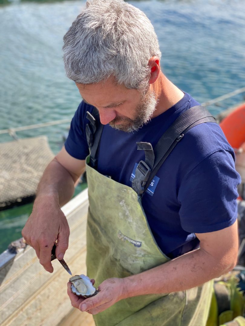 Greg Carton Broadwater Oysters