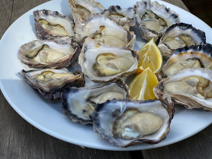 Broadwater Oysters