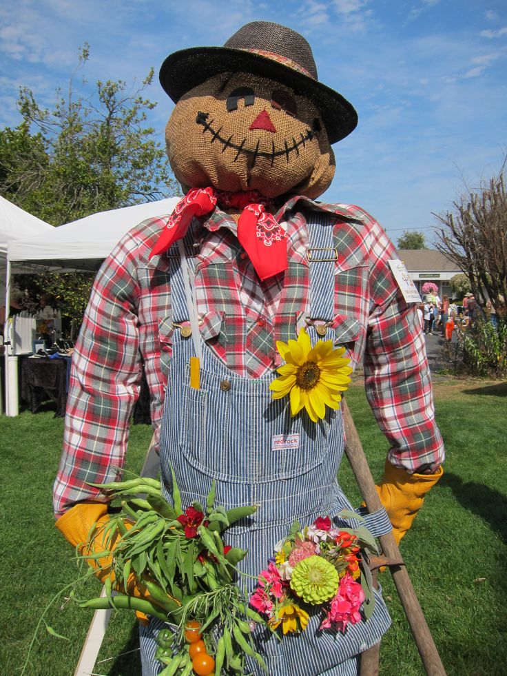 A no-show scarecrow.