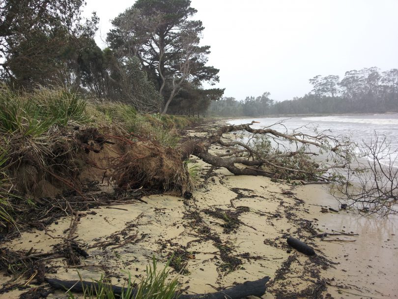Erosion damage at Surfside on the NSW South Coast.