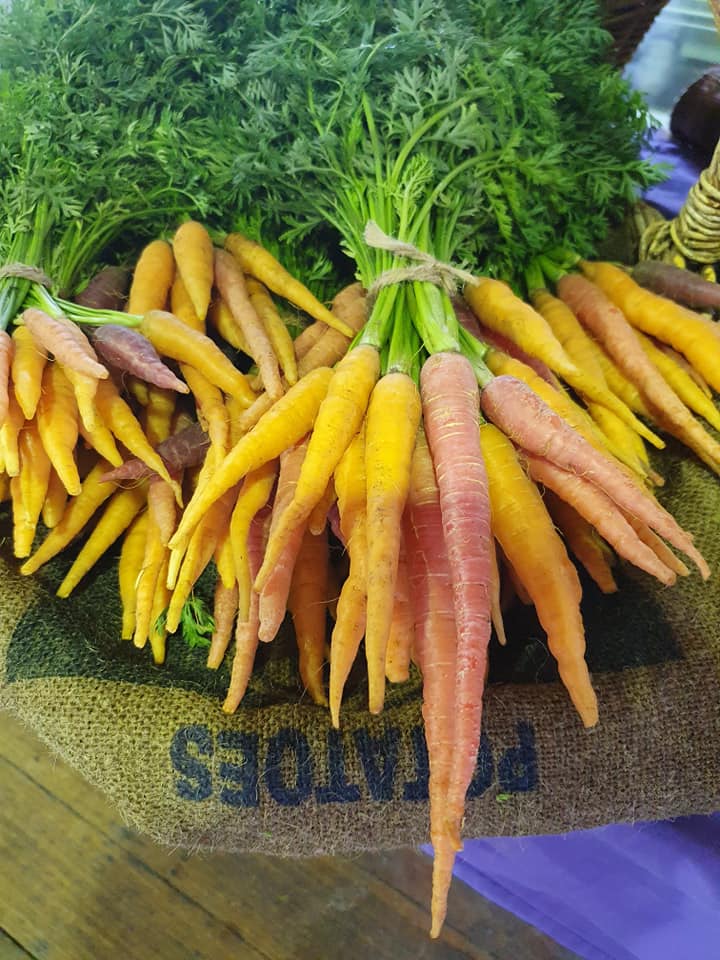 Bunch of carrots