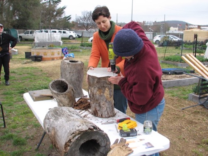The Goulburn Group's Raina Emerson and Jane Suttle holding a workshop on nesting hollows