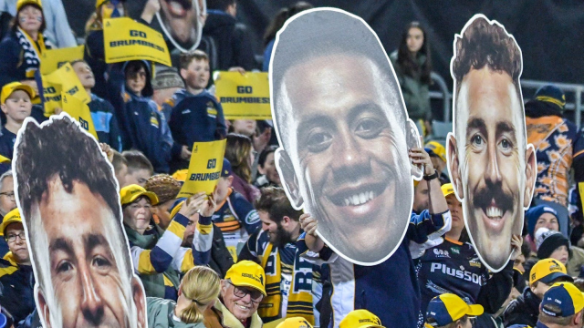 Brumbies supporters and fans