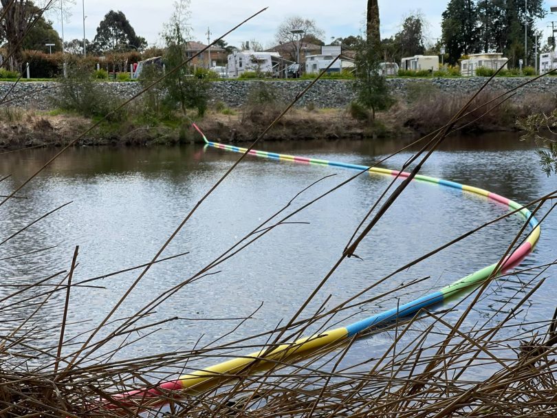 Pool noodles stretched across Queanbeyan River