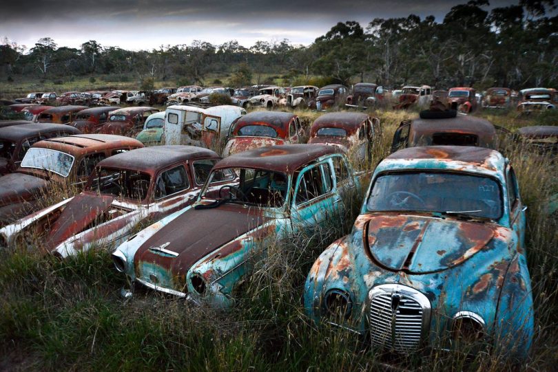 Old cars at Flynn's Wrecking Yard
