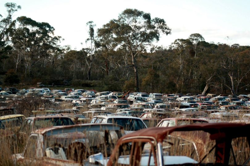 Rows of rusting cars at Flynn's Wrecking Yard