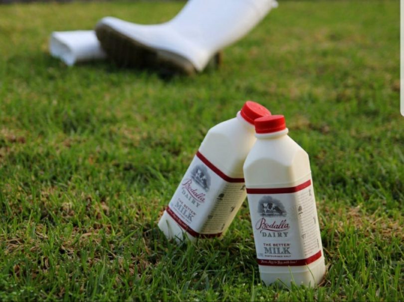 Two milk bottles on grass