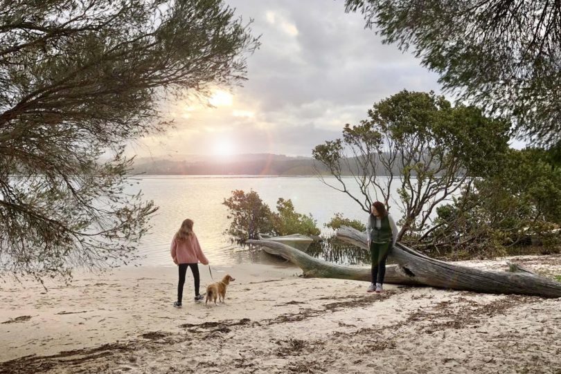 Kelly Maher and Erin Maher walking dog on beach in Merimbula