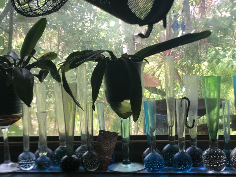 Glass vases on window sill.