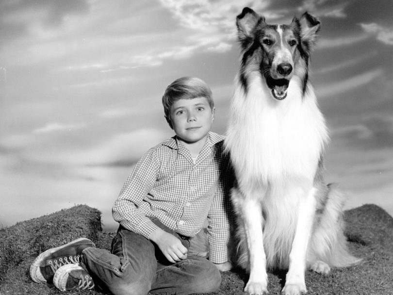 Lassie and Timmy