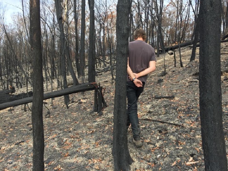 Man walking among burnt trees