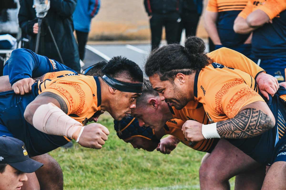 Brumbies rugby players ready to engage in a scrum