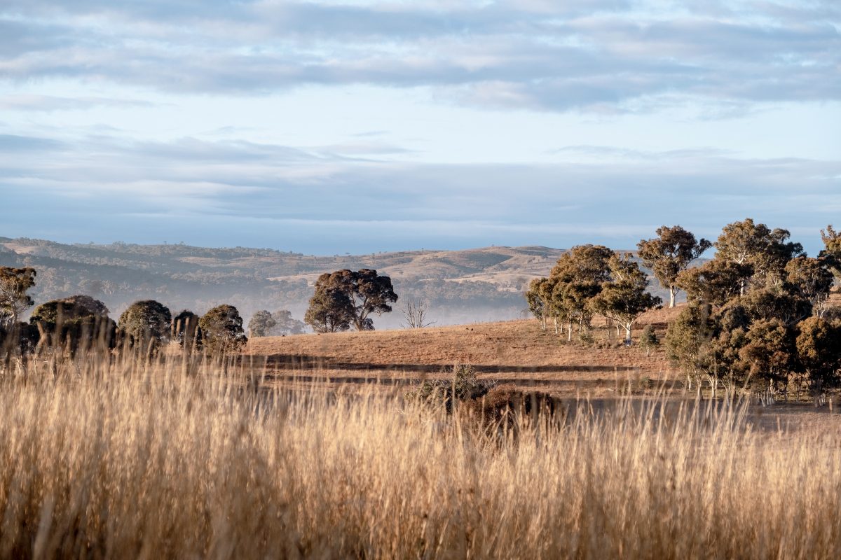 Woodbury landscape shot