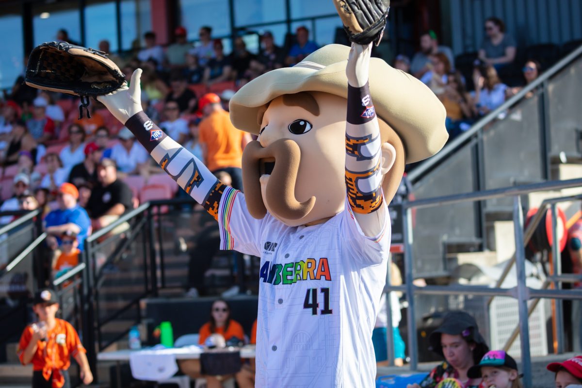 Canberra Cavalry mascot cheering at game