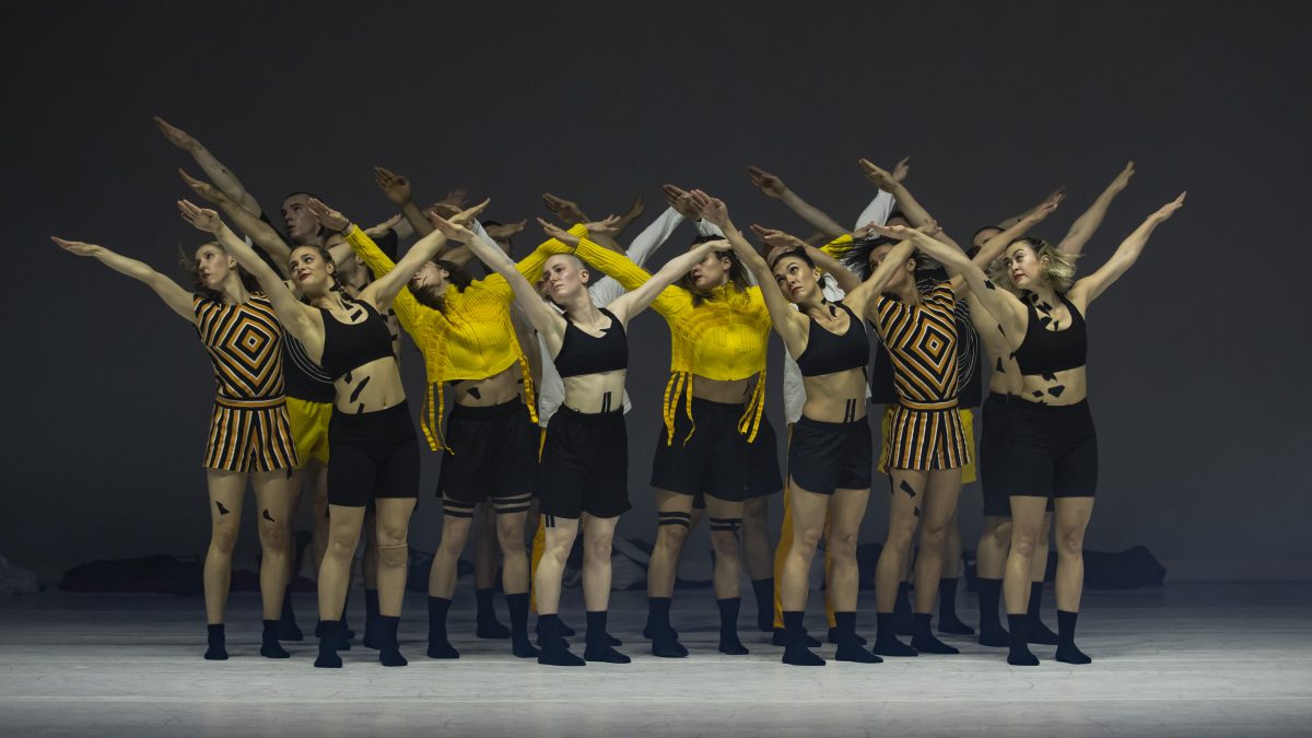 dancers in black and yello costumes on stage