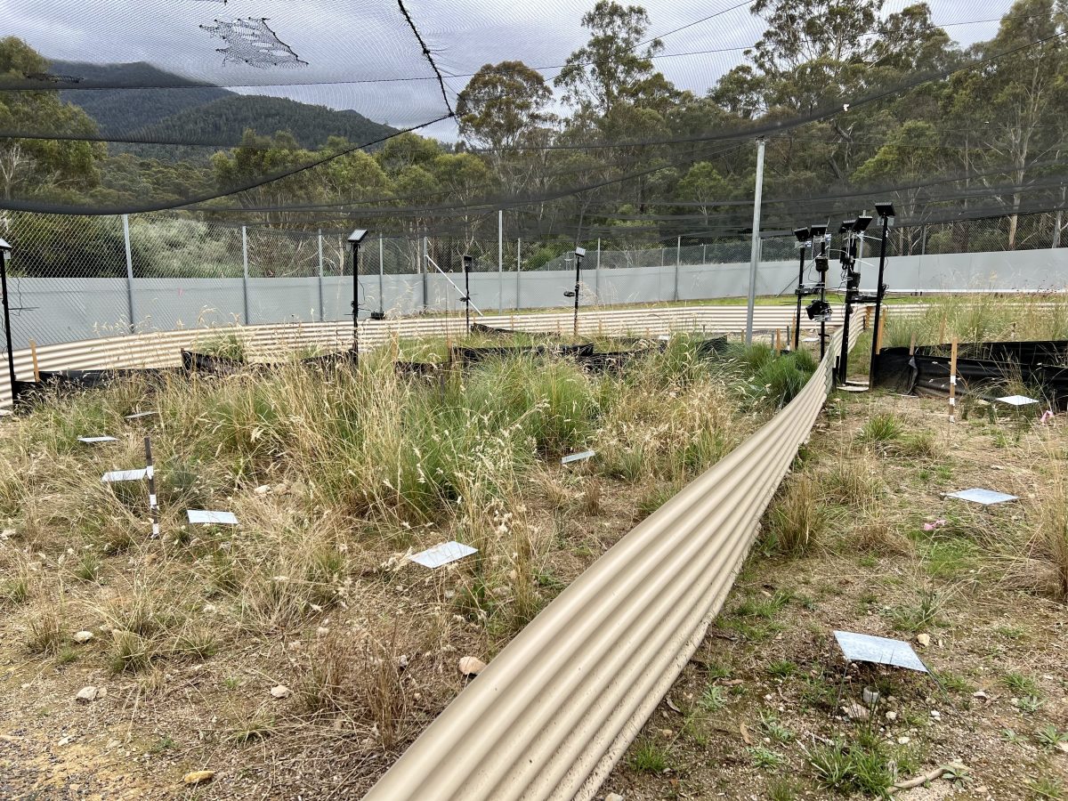 Tidbinbilla Nature Reserve