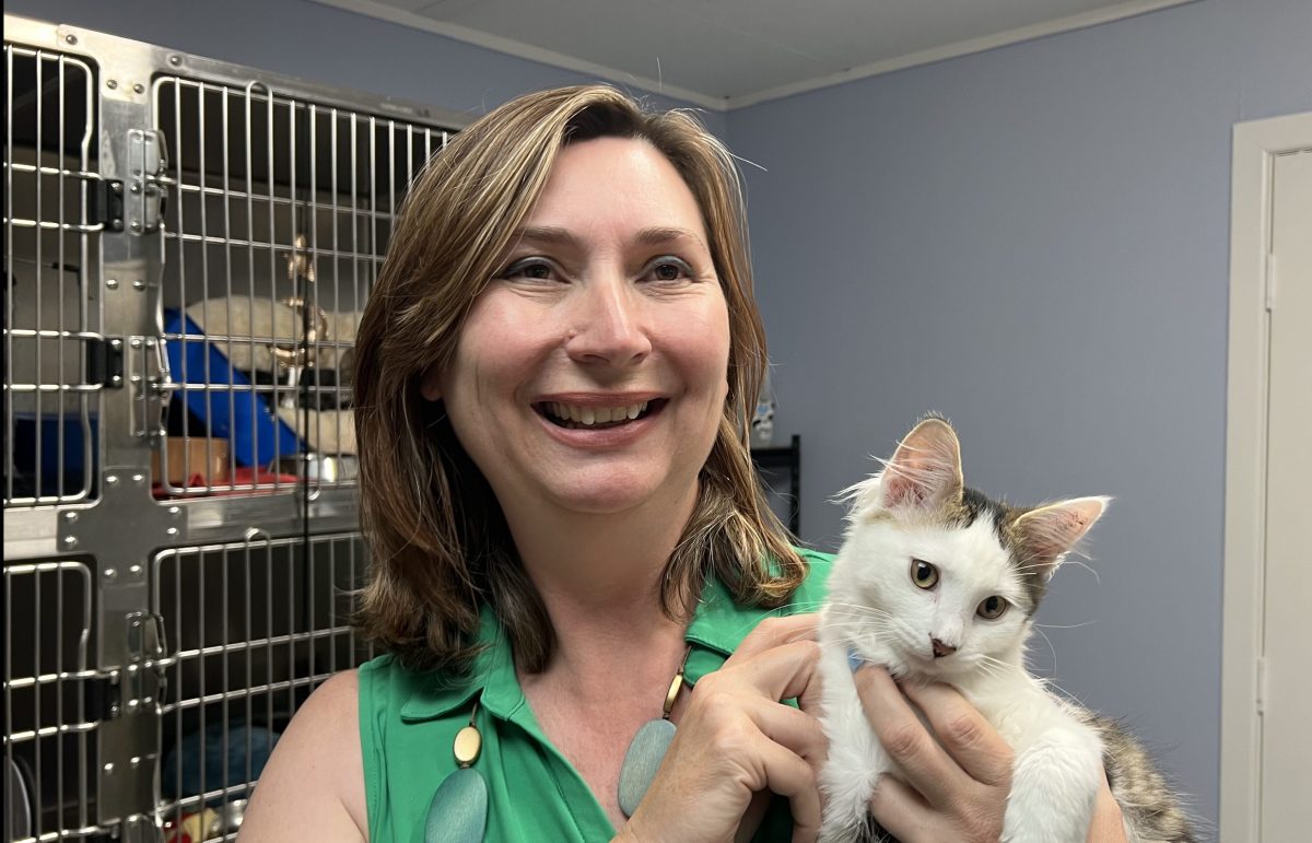 A smiling woman holding a kitten