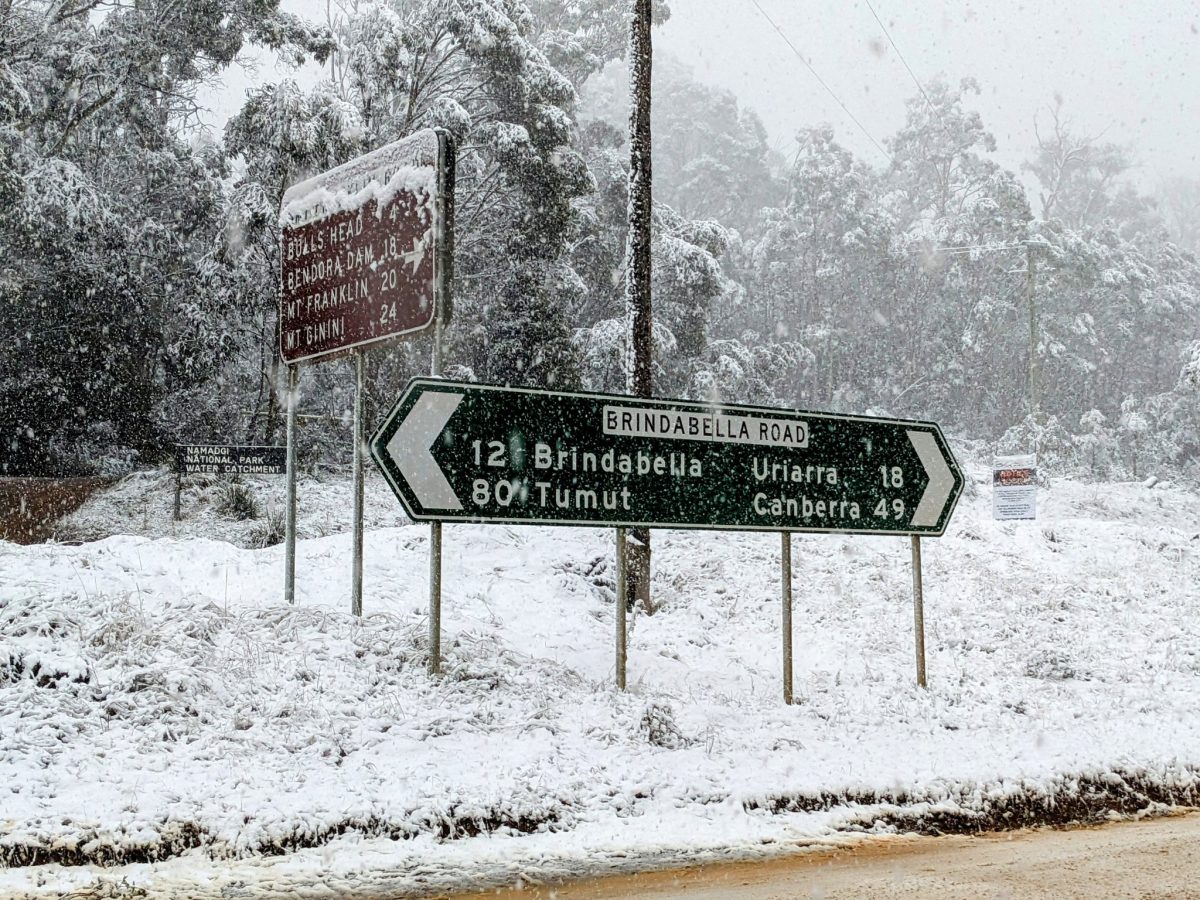 Snowy roadside in the Brindabellas