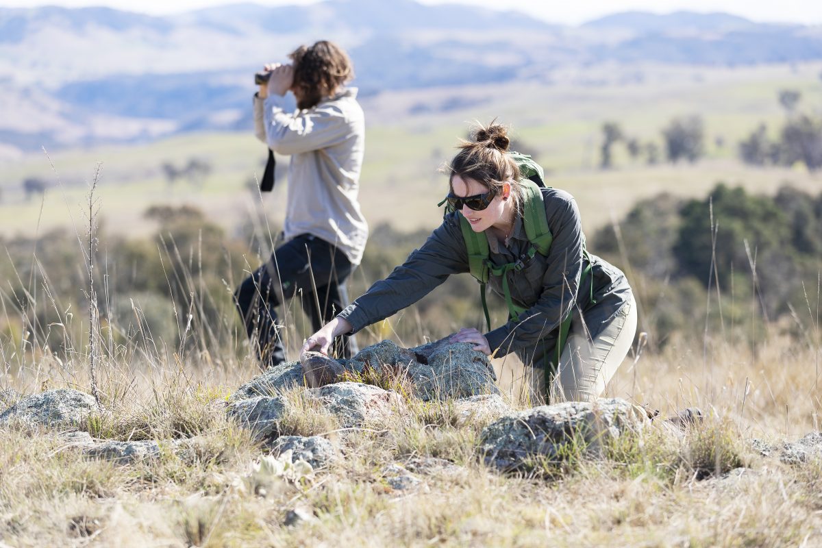 Two people on a grassy hill - a man looking through binoculars and a woman wearing a backpack looking under a rock