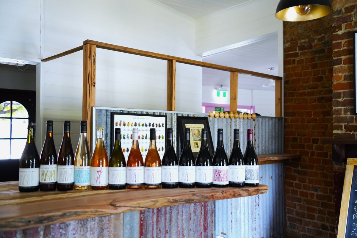 Bottles of wine on a corrugated iron bar.