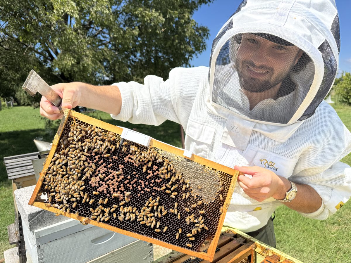 BeeRight tech on a bee hive