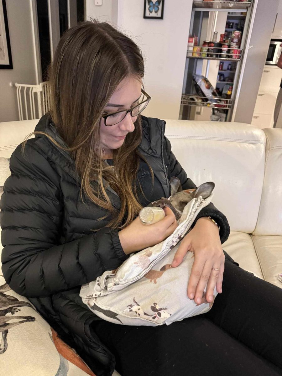 woman bottle feeding joey