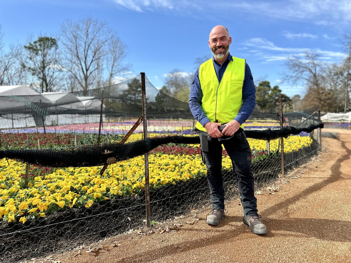 Gardener standing by flower bed