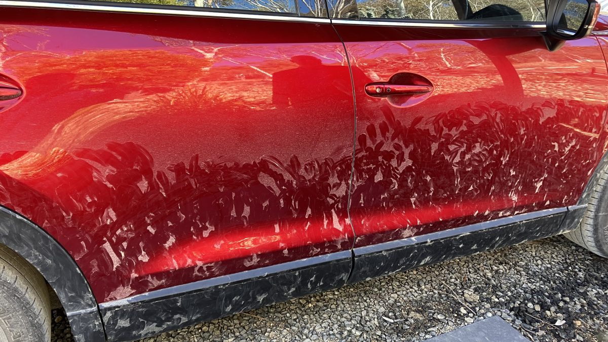 Car with kangaroo lick marks