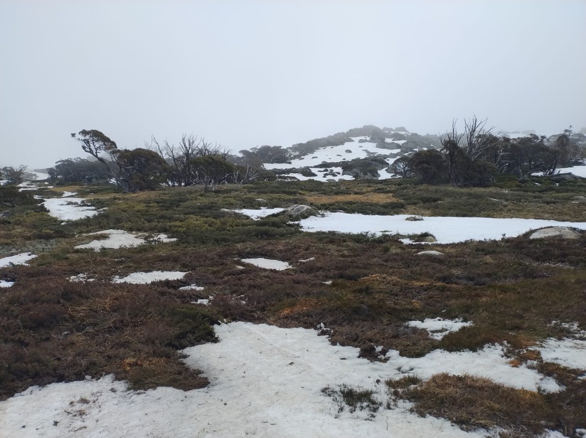 Kosciuszko National Park Snowy Mountains