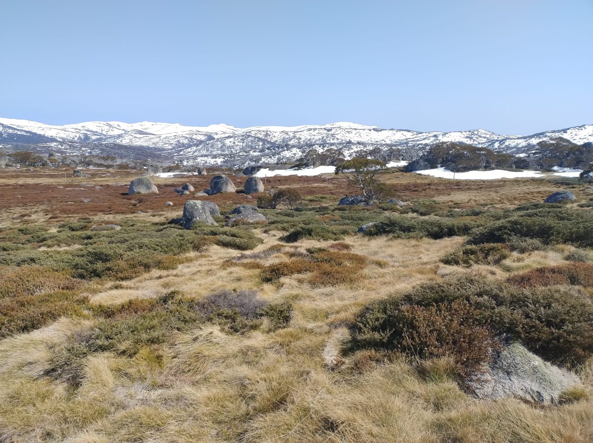 Kosciuszko National Park Snowy Mountains 