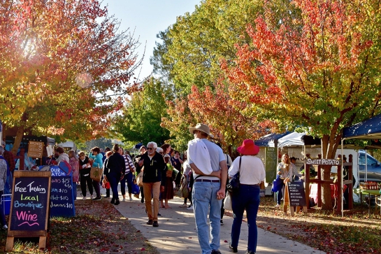 People walking between trees during a town market 