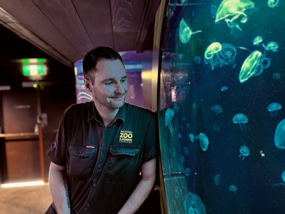 man leaning against jellyfish display