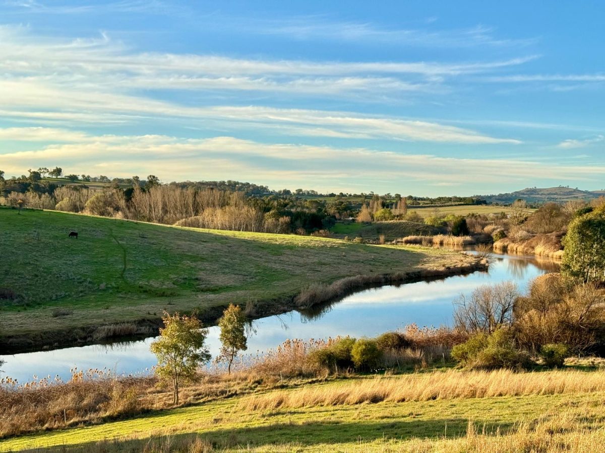 rural land with river in middle