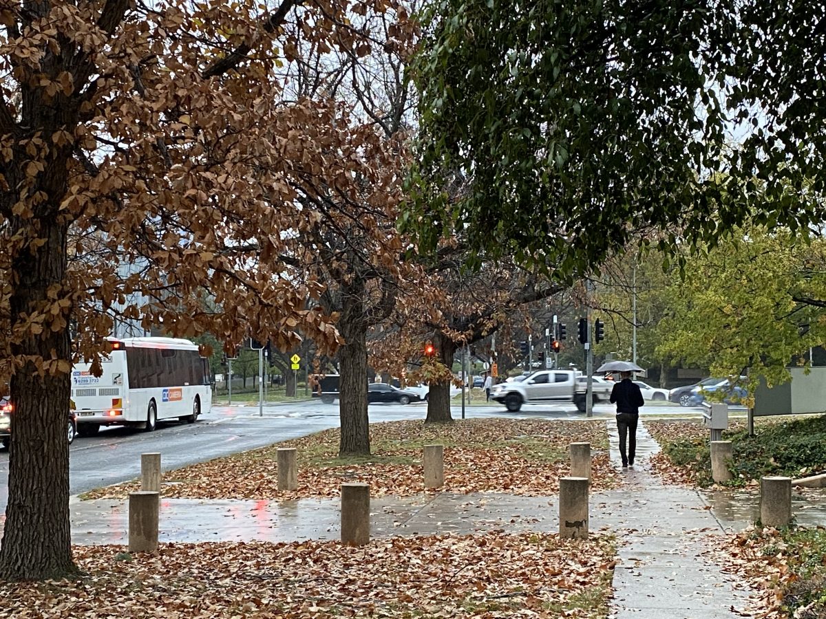 man walking with umbrella in autumn