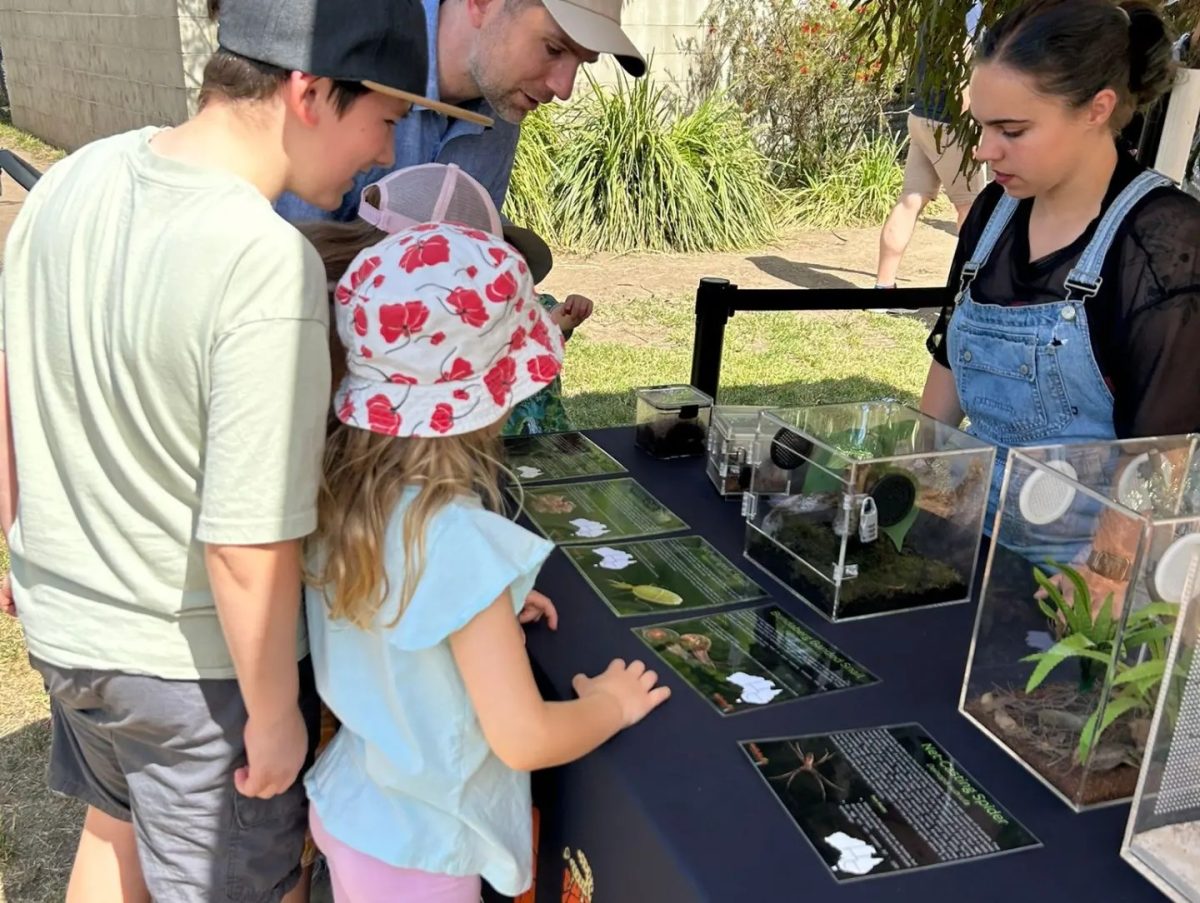 kids and parent looking at insect display