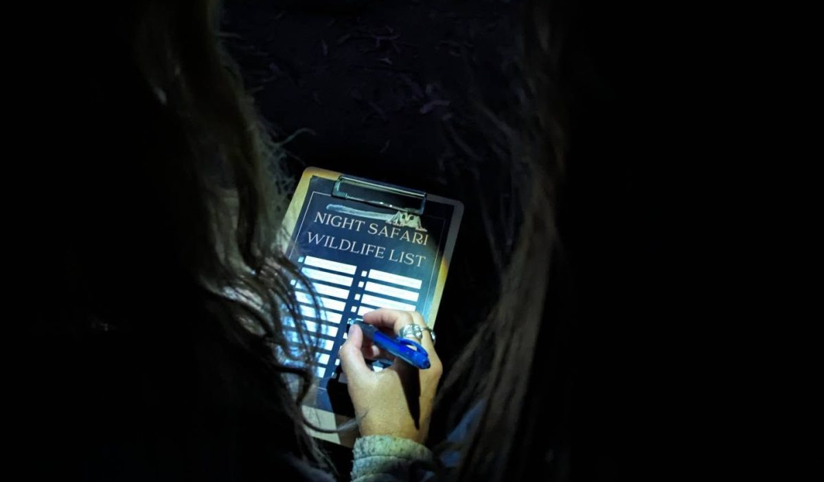 woman holding night safari checklist