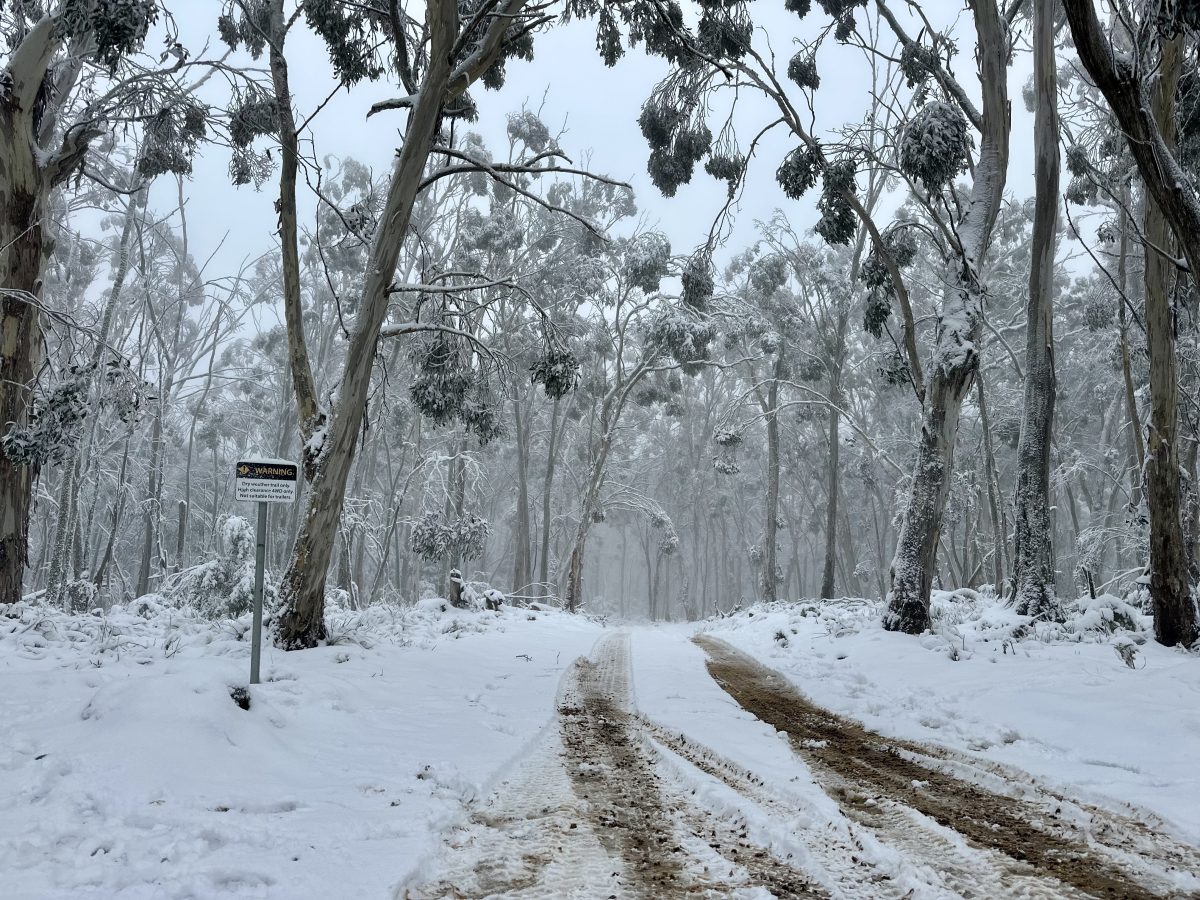 Snow