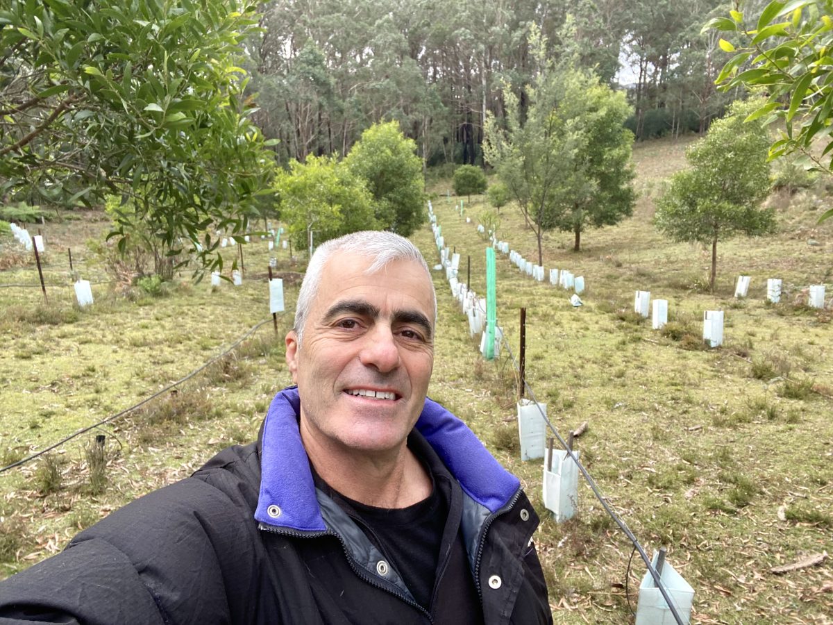 Man in front of a pepper orchard