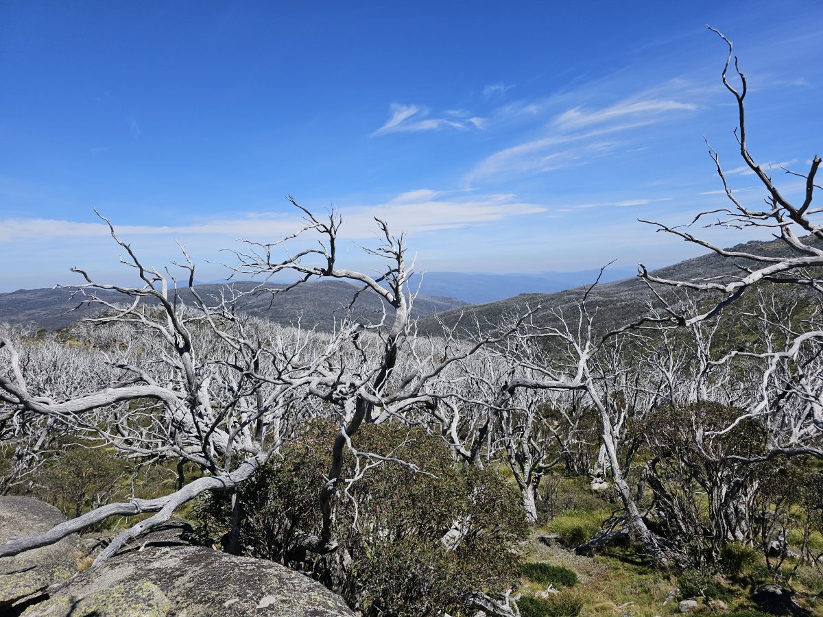 Kosciuscko National Park.