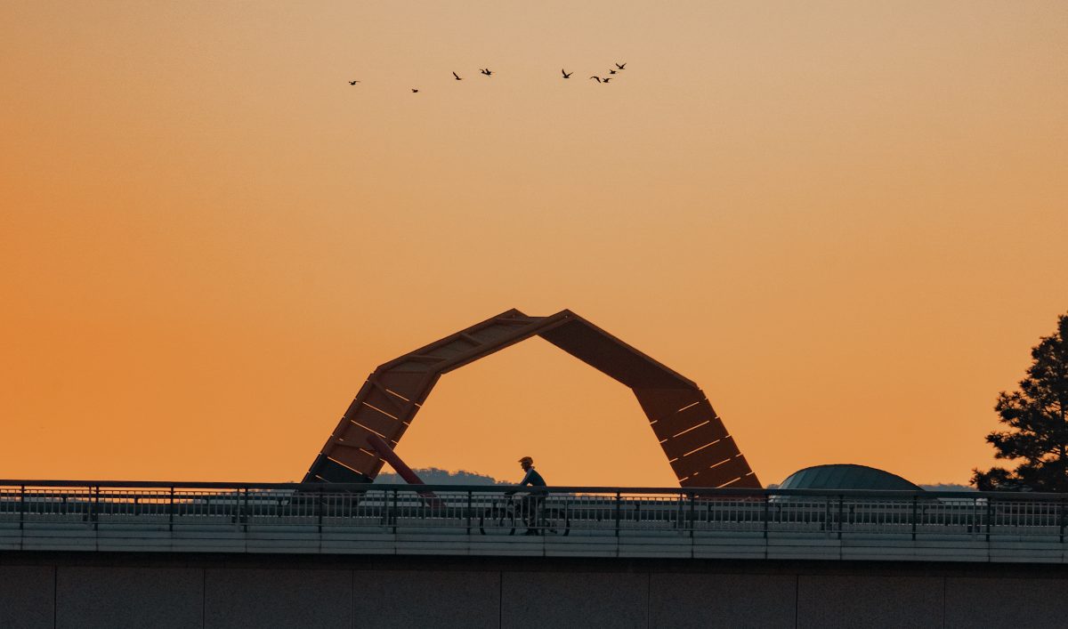 man cycling over bridge at sunset with birds and sculpture in background