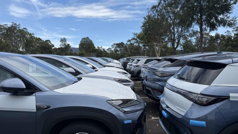 Jamberoo Action Park car park storage