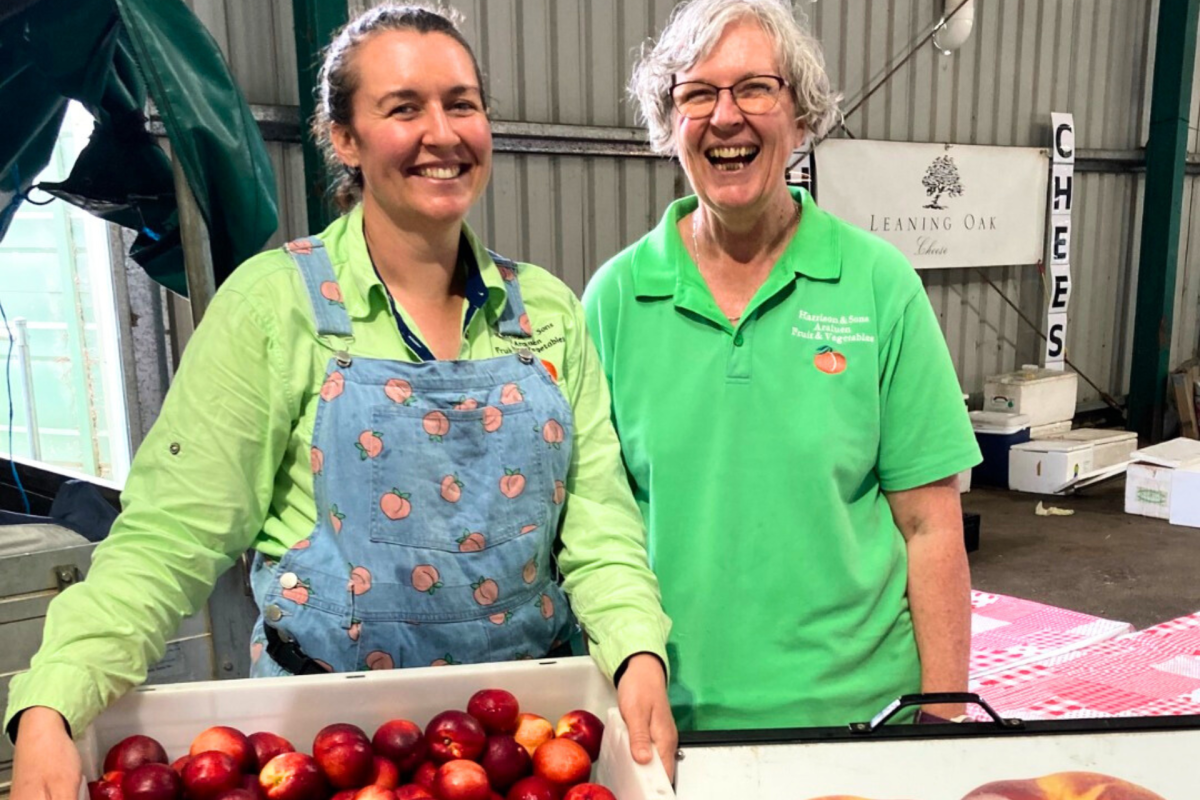 Smiling Kaitlyn Jacobs and Tracey Harrison hold a box of peaches.