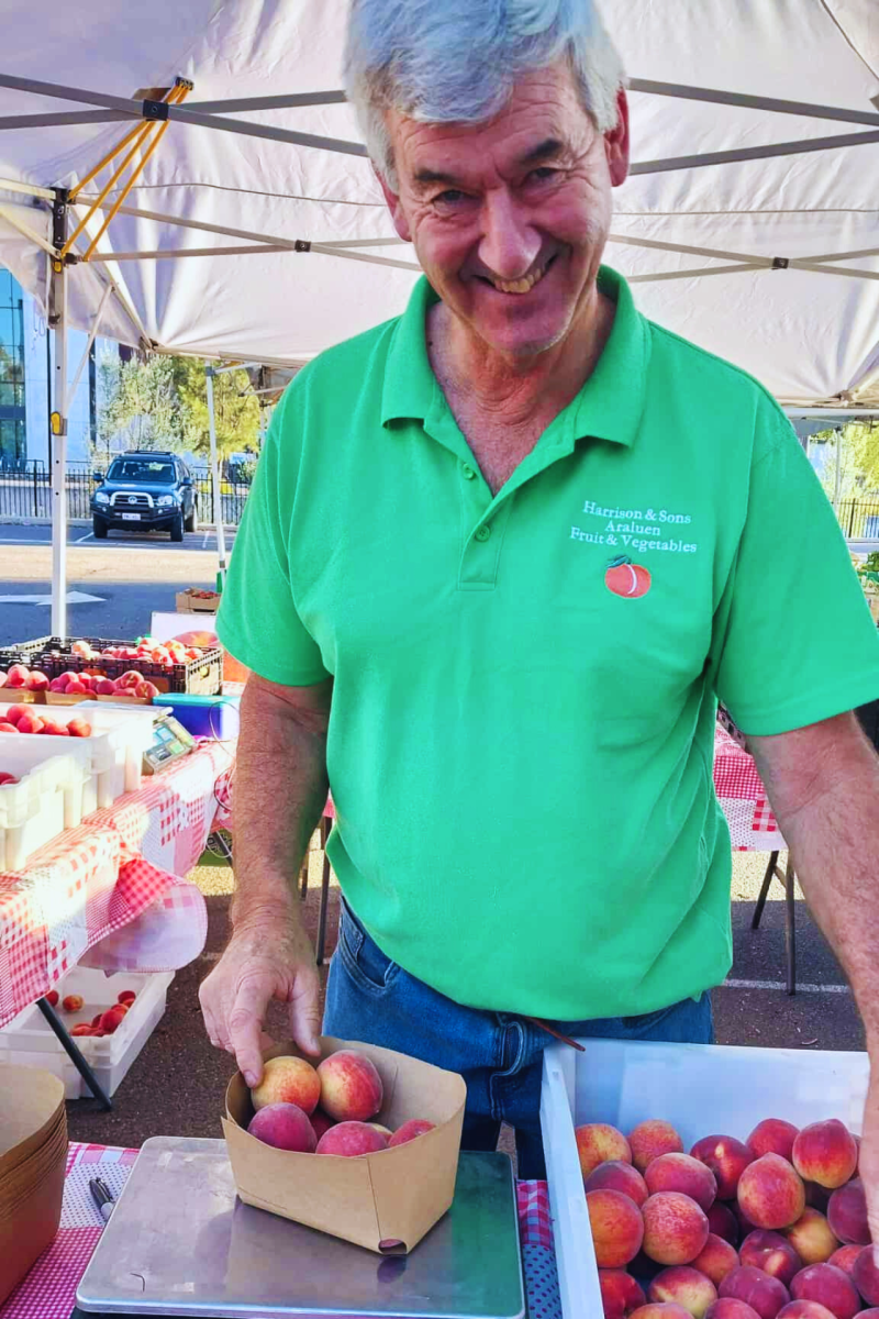 Ken Harrison weighs peaches at Harrison and Sons.