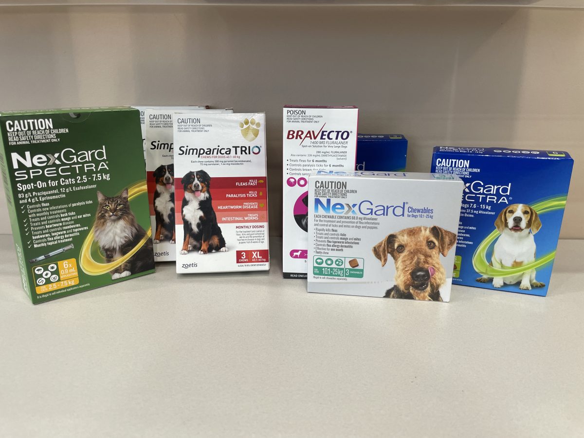 Boxes from a range of tick prevention medication like bravecto, nexguard and simparica