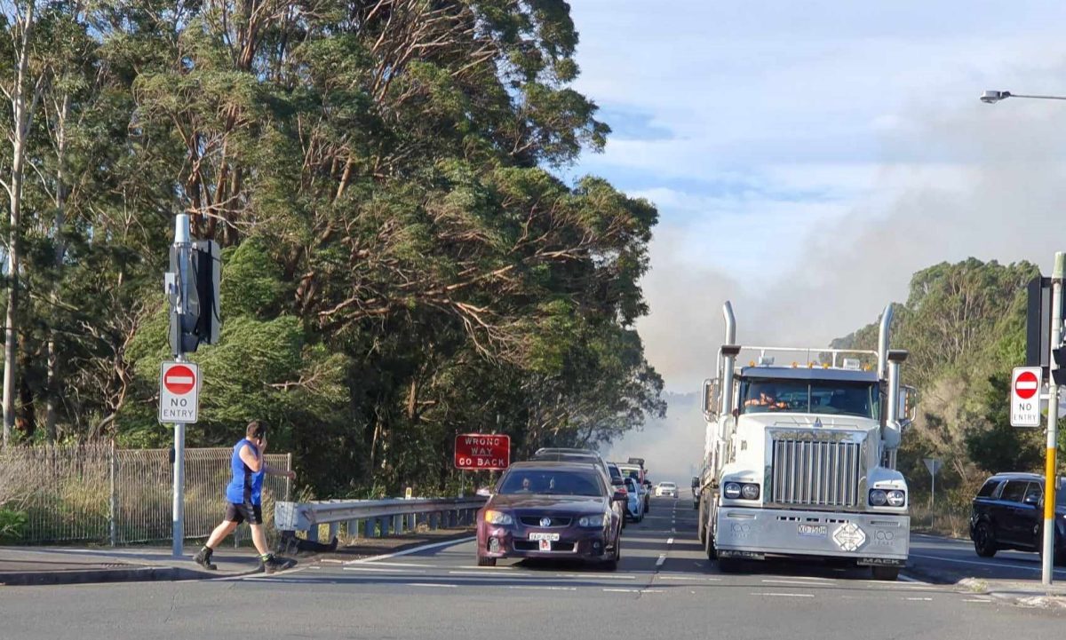 Smoke blows across backed-up traffic off the M1 as fire crews battle high winds to put out a blaze in Brownsville on 28 August. 