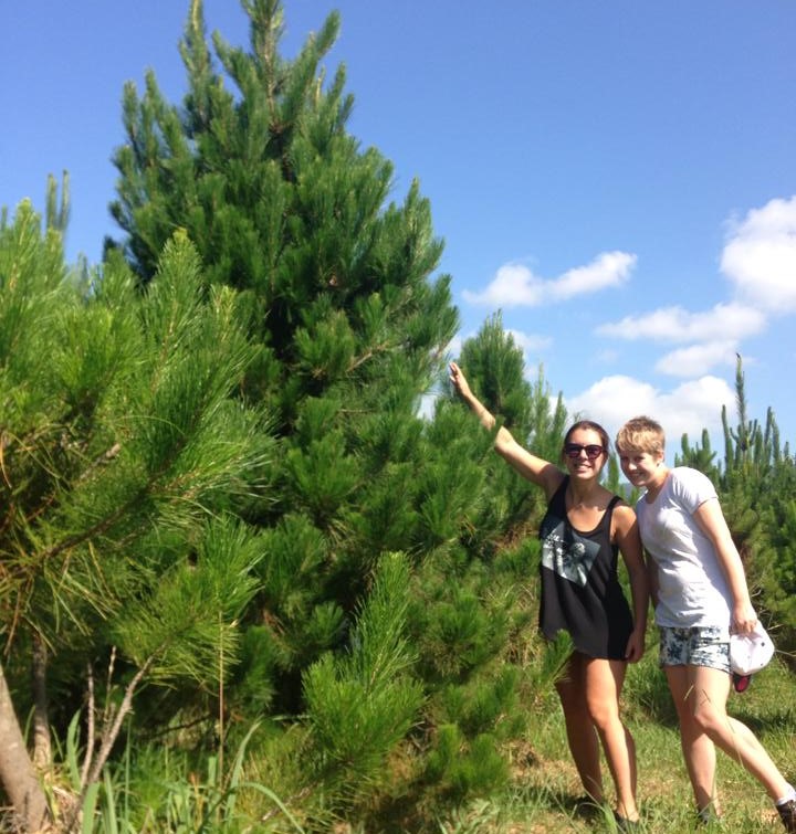 Keeli and her sister next to a real Xmas tree at Santas farm albion park. 